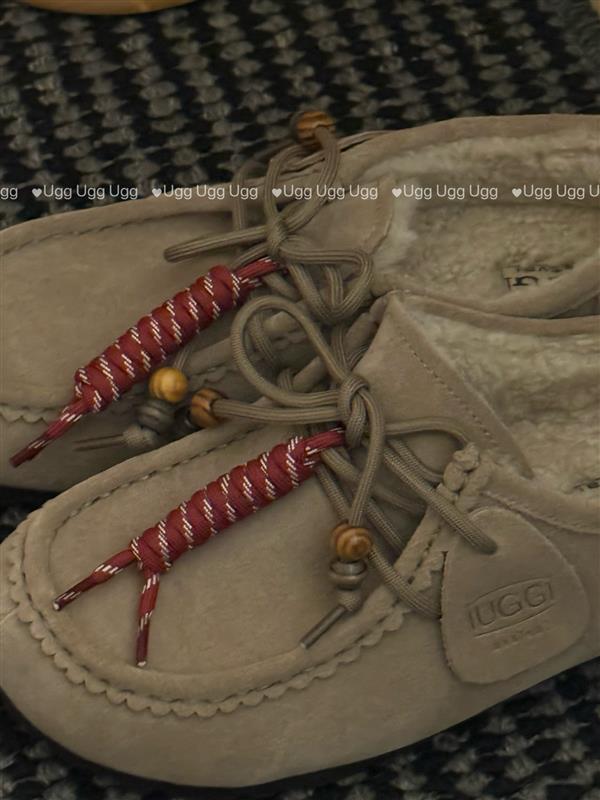 2025126111843447 270